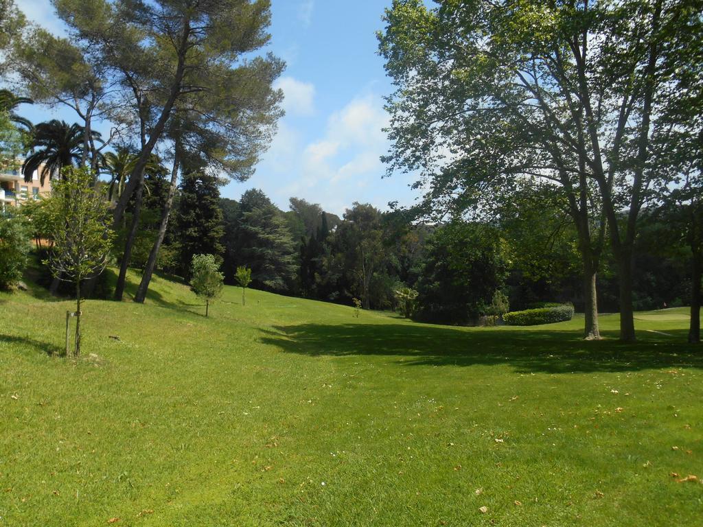 Appartement Les Palmiers - Vacances Cote D'Azur Cannes Luaran gambar